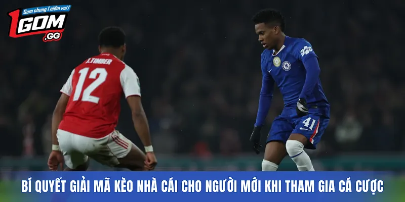 Bí quyết giải mã kèo nhà cái cho người mới khi tham gia cá cược