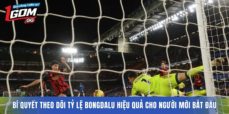 Bí quyết theo dõi tỷ lệ BONGDALU hiệu quả cho người mới bắt đầu