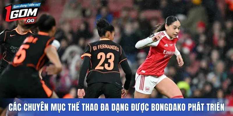 Các chuyên mục thể thao đa dạng được Bongdako phát triển