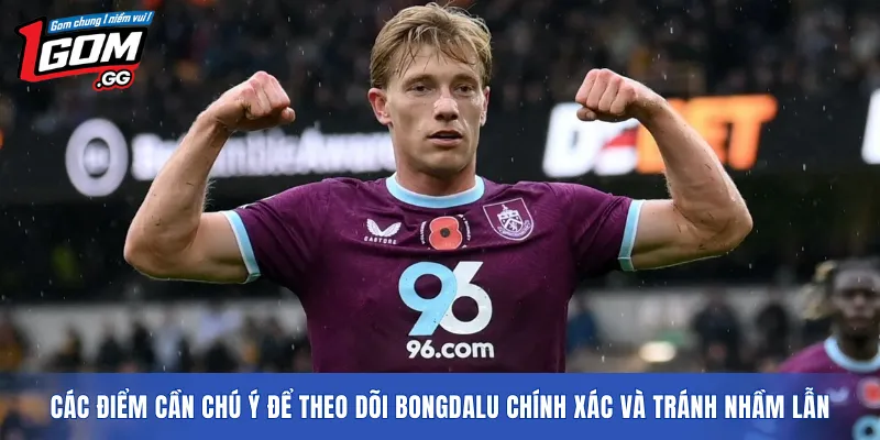 Các điểm cần chú ý để theo dõi Bongdalu chính xác và tránh nhầm lẫn