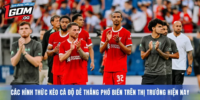 Các hình thức kèo cá độ dễ thắng phổ biến trên thị trường hiện nay