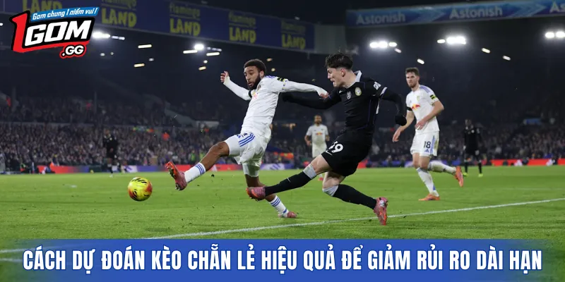 Cách dự đoán kèo chẵn lẻ hiệu quả để giảm rủi ro dài hạn