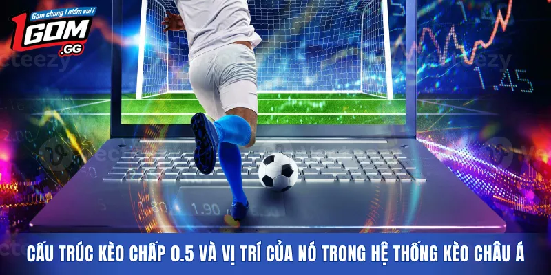 Cấu trúc kèo chấp 0.5 và vị trí của nó trong hệ thống kèo châu Á