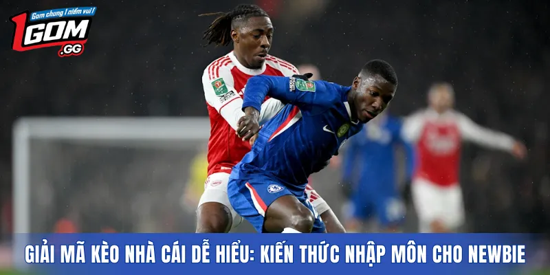 Giải mã kèo nhà cái dễ hiểu: Kiến thức nhập môn cho newbie