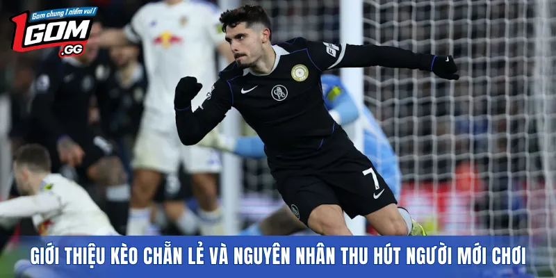 Giới thiệu kèo chẵn lẻ và nguyên nhân thu hút người mới chơi