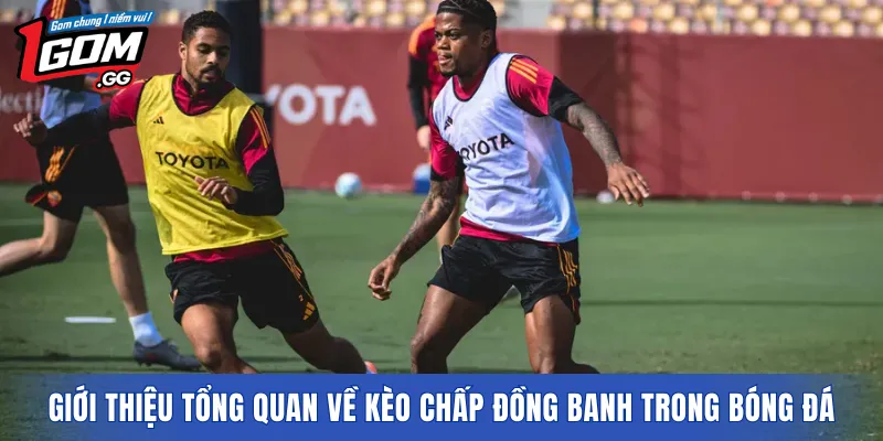 Giới thiệu tổng quan về kèo chấp đồng banh trong bóng đá