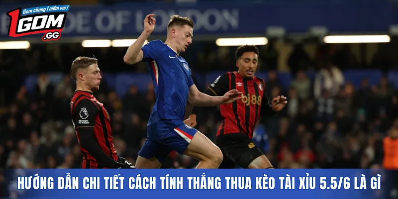 Hướng dẫn chi tiết cách tính thắng thua kèo Tài Xỉu 5.5/6 là gì