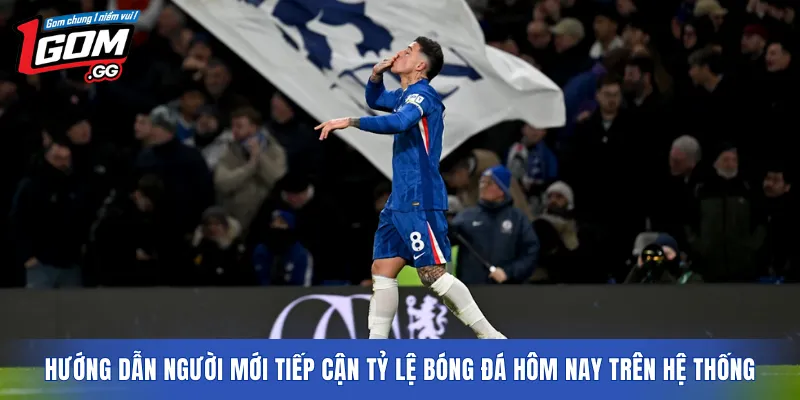 Hướng dẫn người mới tiếp cận tỷ lệ bóng đá hôm nay trên hệ thống