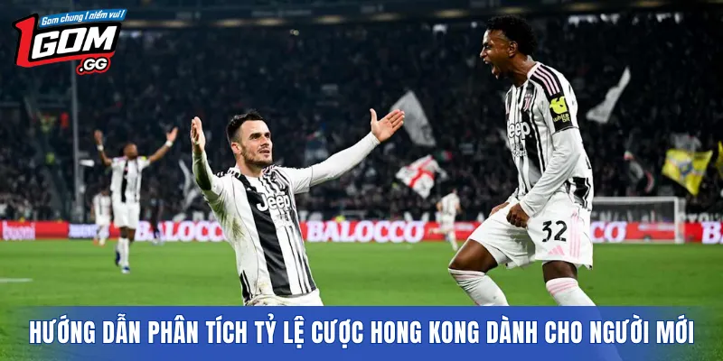 Hướng dẫn phân tích tỷ lệ cược Hong Kong dành cho người mới