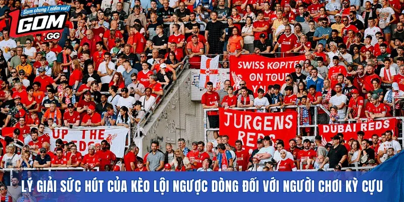 Lý giải sức hút của kèo lội ngược dòng đối với người chơi kỳ cựu