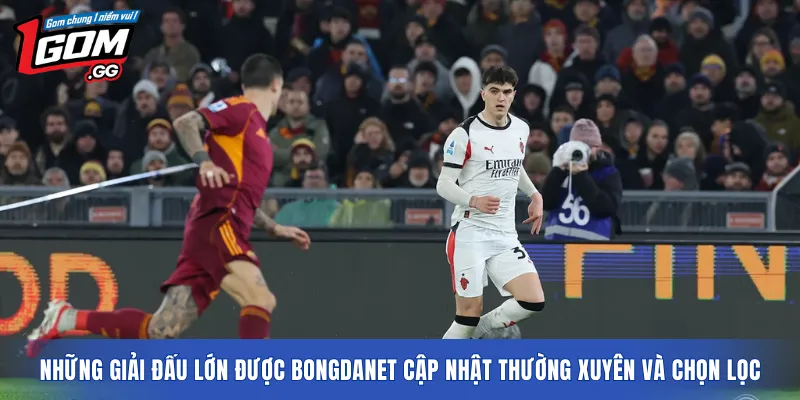 Những giải đấu lớn được Bongdanet cập nhật thường xuyên và chọn lọc