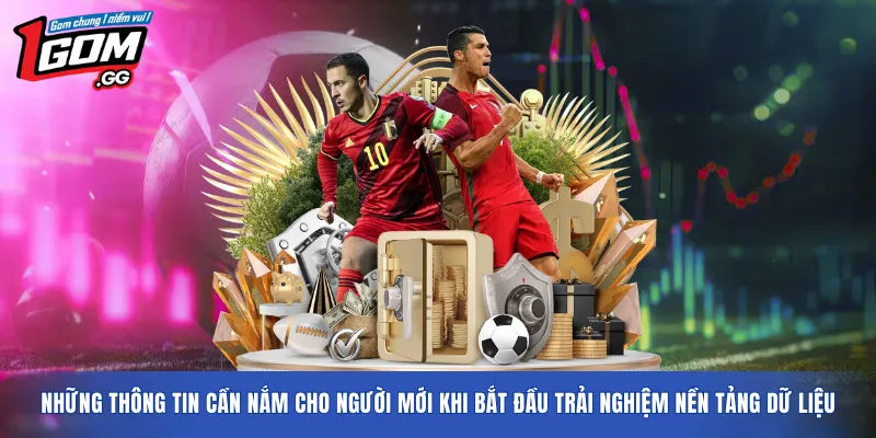 Những thông tin cần nắm cho người mới khi bắt đầu trải nghiệm nền tảng dữ liệu