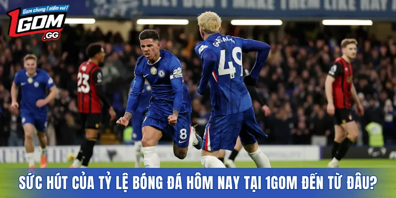 Sức hút của tỷ lệ bóng đá hôm nay tại 1GOM đến từ đâu?