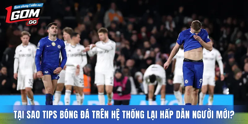 Tại sao tips bóng đá trên hệ thống lại hấp dẫn người mới?