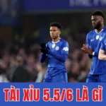 Tài Xỉu 5.5/6 Là Gì – Đánh Giá Nhịp Trận Trước Khi Chọn Cửa