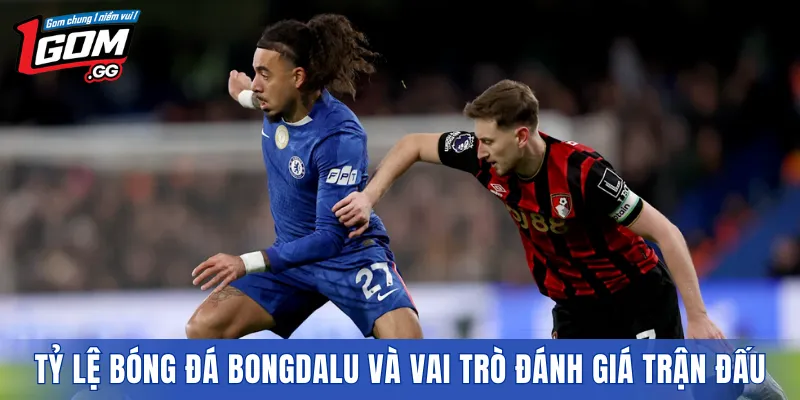 Tỷ lệ bóng đá BONGDALU và vai trò đánh giá trận đấu